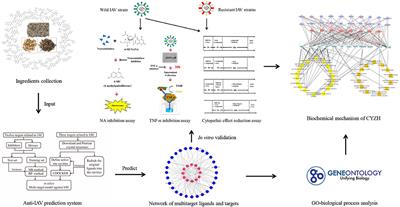 Discovery of Multitarget-Directed Ligands Against Influenza A Virus From Compound Yizhihao Through a Predictive System for Compound-Protein Interactions